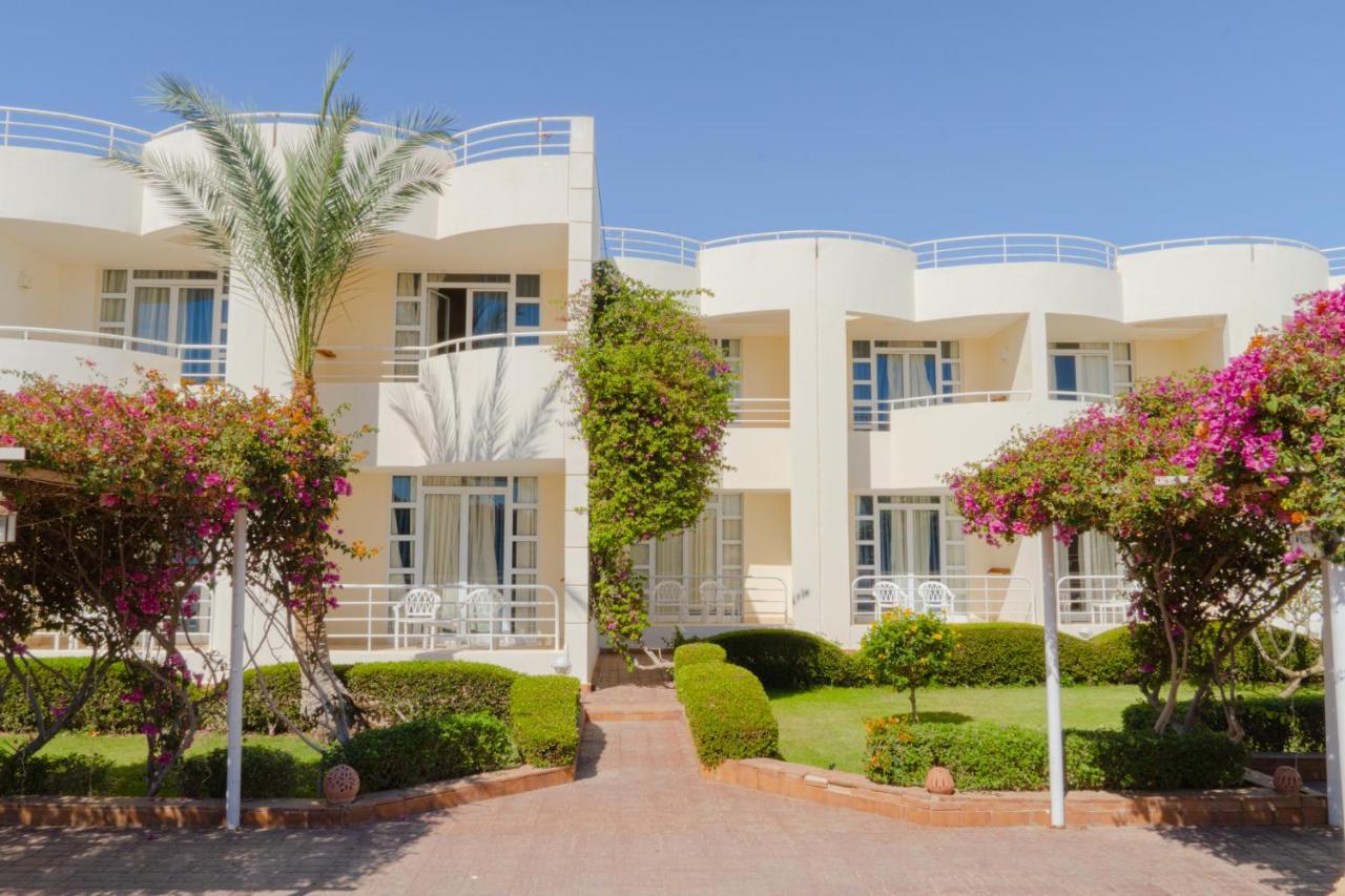 Sharm Reef Hotel Esterno foto