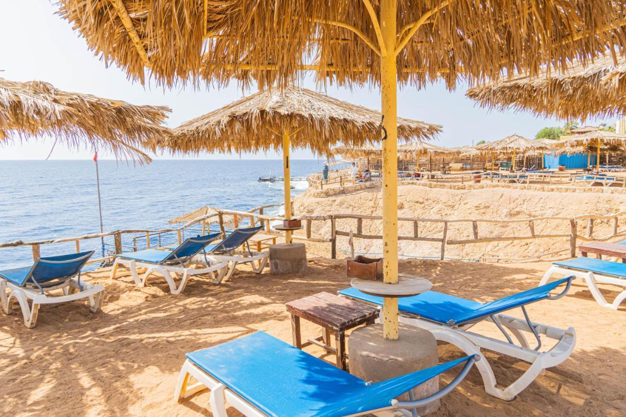 Sharm Reef Hotel Esterno foto