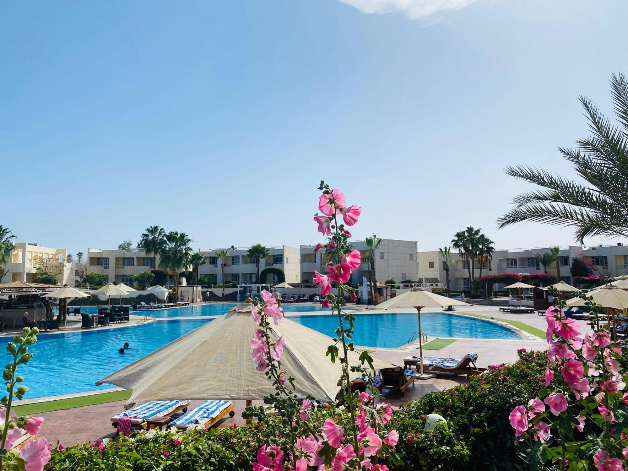 Sharm Reef Hotel Esterno foto