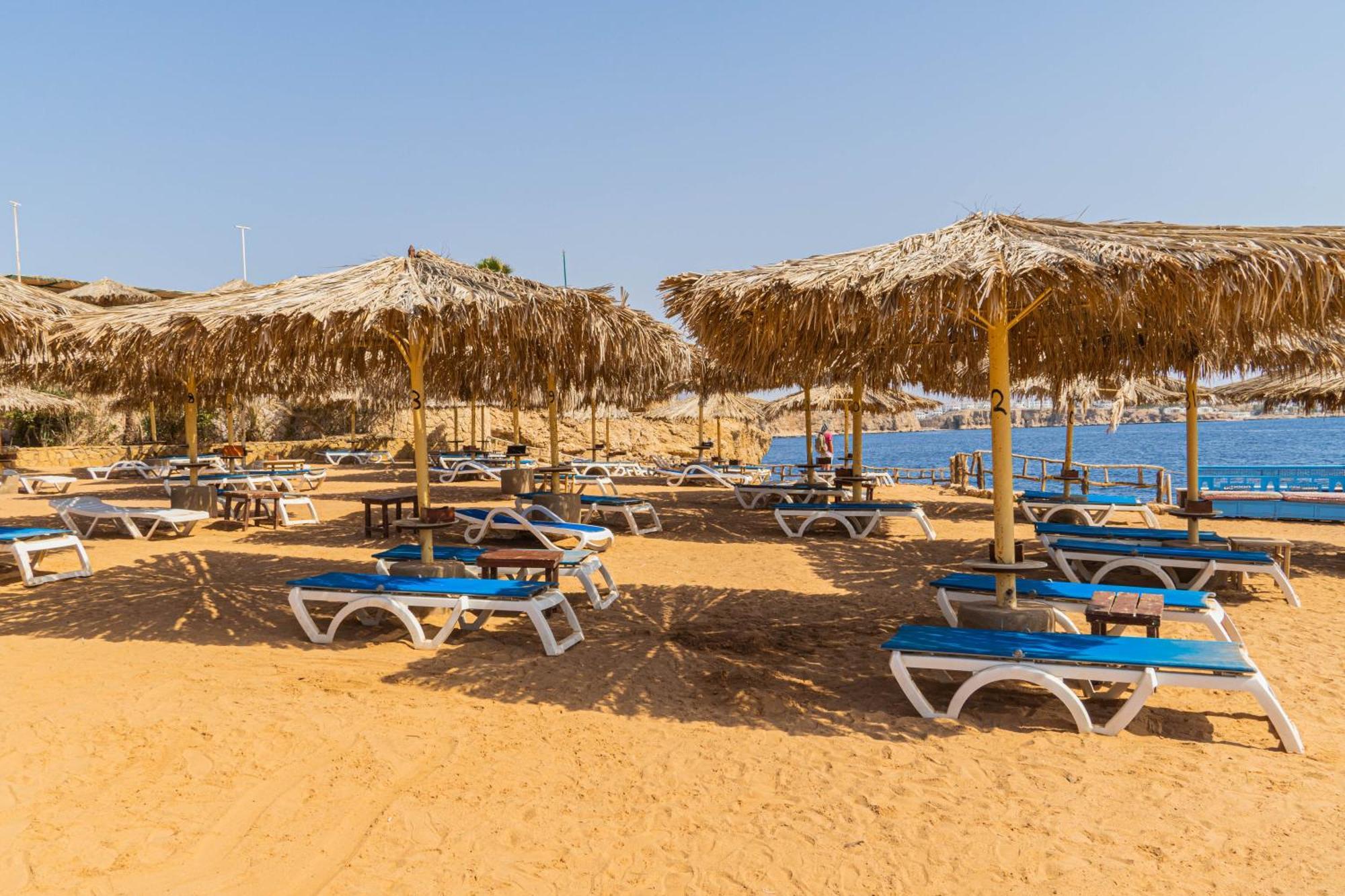 Sharm Reef Hotel Esterno foto